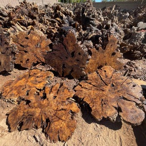 May include: A collection of large, irregularly shaped wood slabs with a rich, dark brown color and intricate grain patterns. The slabs are cut from tree trunks, showcasing the natural beauty of the wood. Some have a flower-like shape.