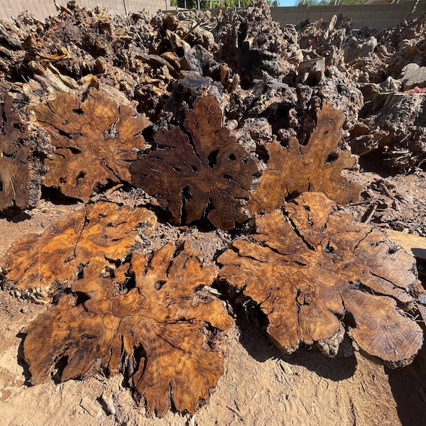 Live Edge Olive Wood Burl Cookies for Resin Tables and Crafting