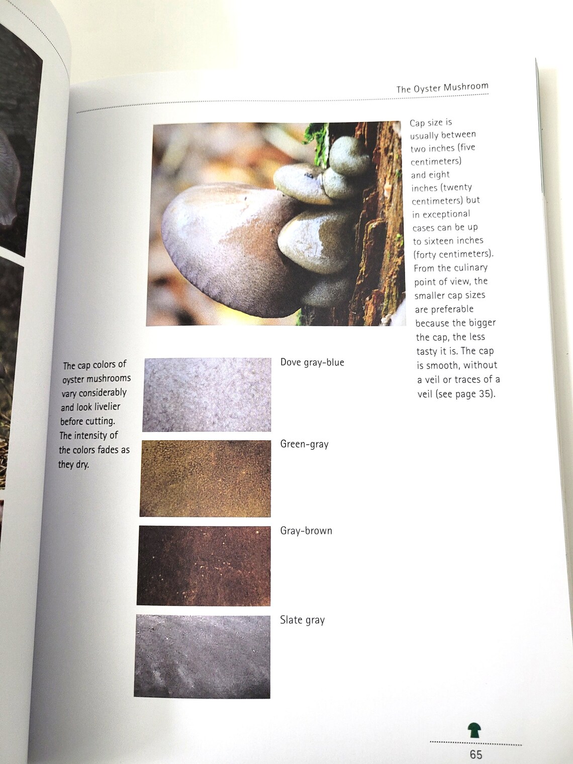 Mushrooming With Confidence Softbound Book by Alexander Schwab A Guide