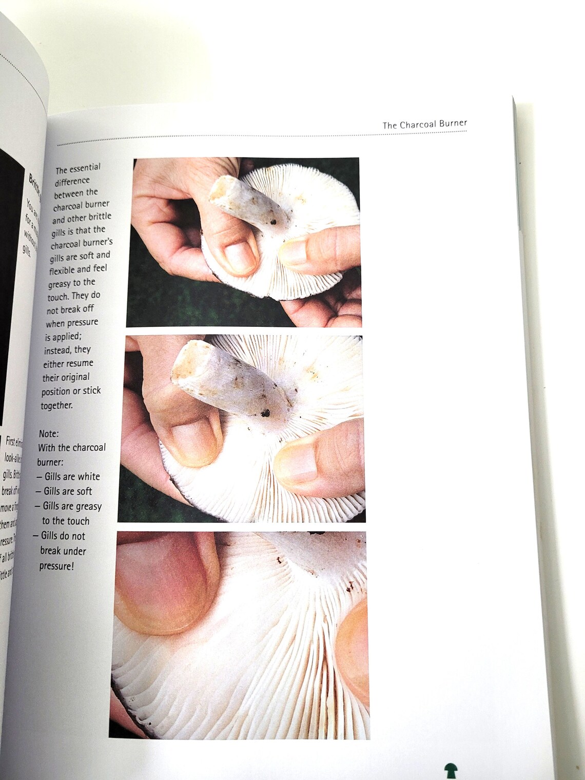 Mushrooming With Confidence Softbound Book by Alexander Schwab A Guide