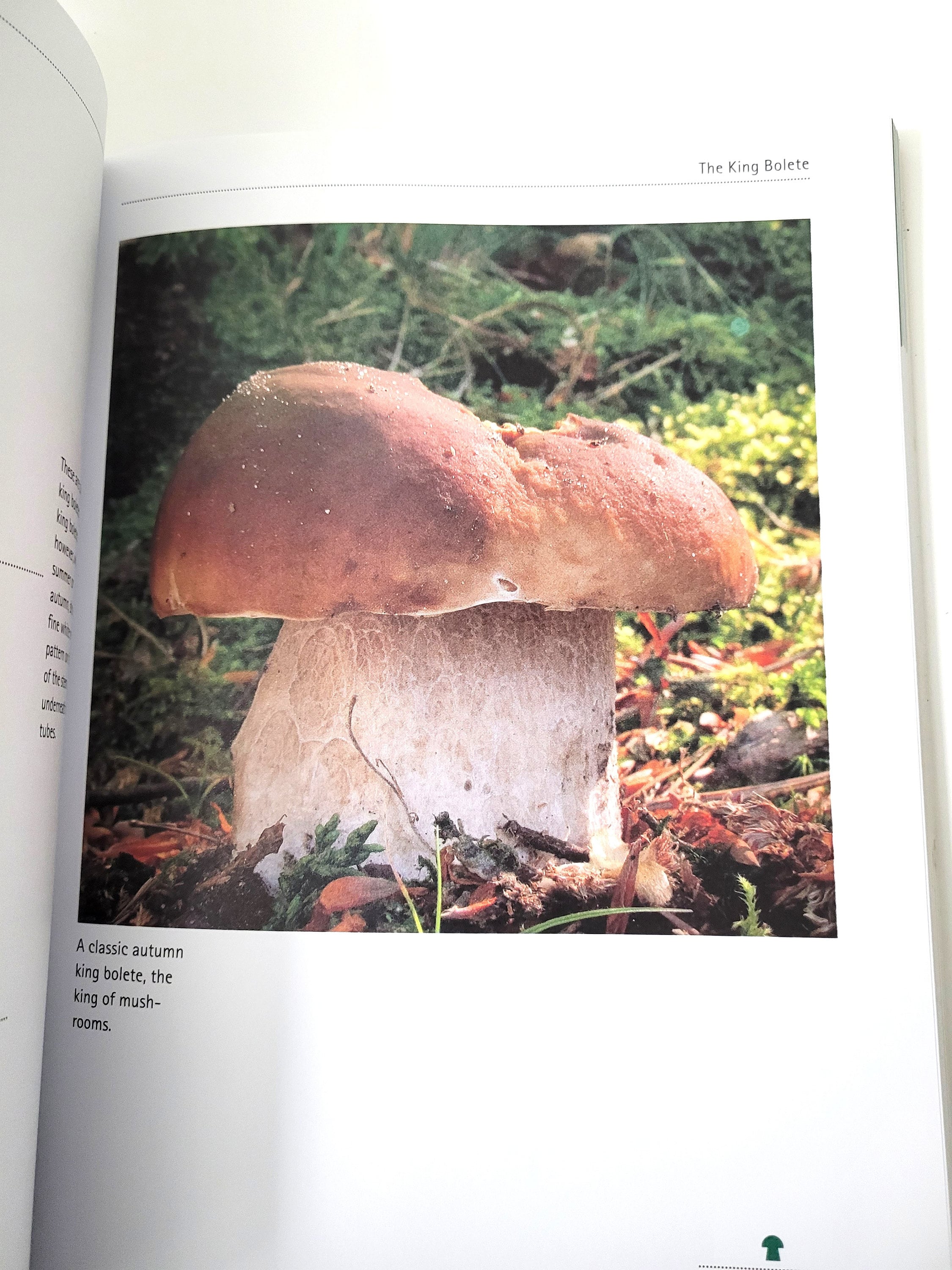 Mushrooming With Confidence Softbound Book by Alexander Schwab A Guide
