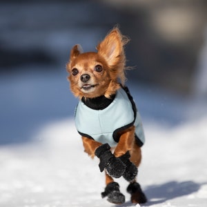 28 cm Softshell winter jacket / Dog jacket / Dog rain jacket / Warm jacket for dog / Reflective jacket