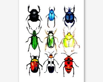 Beetles Art Print, Bugs, Beetles, Colorful Bugs, Entomology, Entomologist, Insect Art, Insect Collection, Beetle Collection, Bug Art