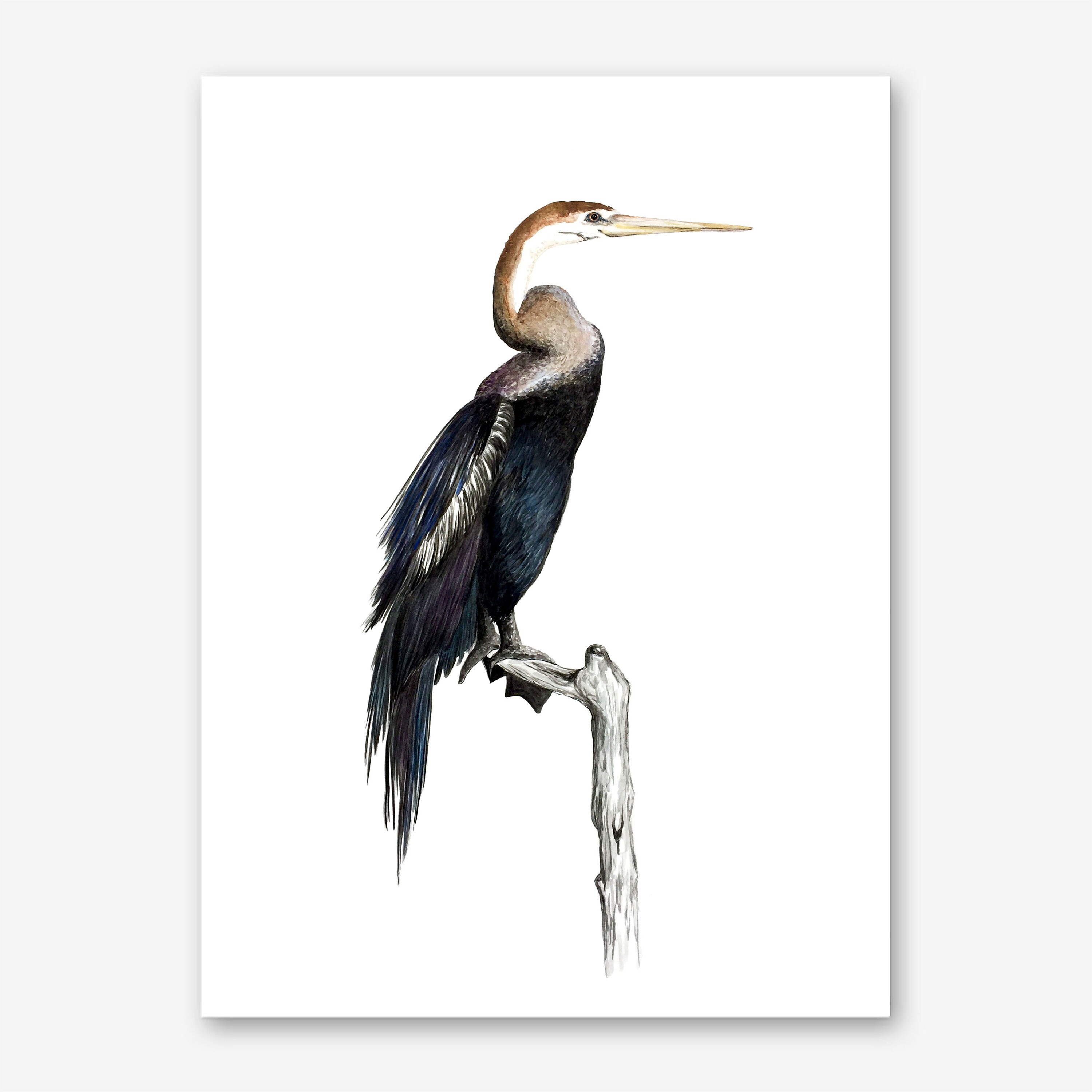 Anhinga Tropical Bird Art Print, Beach Art Print, Florida Bird Art ...
