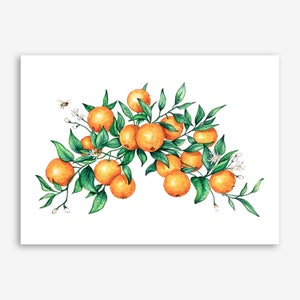 Arance della Florida con una piccola ape, stampa artistica tropicale ad acquerello, rametto di arancia, staio di arance, vitamina C