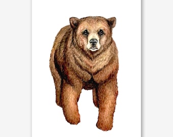 Grizzly Bear Fine Art Print, Brown Bear Art, Camping Art, Hiking Art, Hiker, Camper