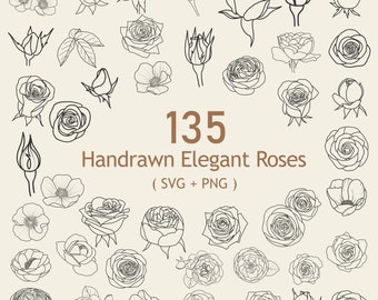 135 Handgezeichnete Rose SVG & PNG Clipart: Florale Vektordateien