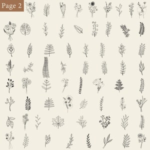 May include: A collection of 48 black and white line drawings of various floral and foliage elements. The drawings are simple and elegant, and would be perfect for use in a variety of creative projects.