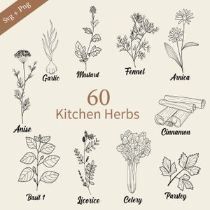 Könnte beinhalten: Eine Schwarzweiß-Zeichnung von 60 Küchenkräutern, darunter Anis, Basilikum, Sellerie, Zimt, Knoblauch, Lakritz, Senf, Petersilie und Fenchel. Der Text "60 Kitchen Herbs" befindet sich in der Mitte des Bildes.