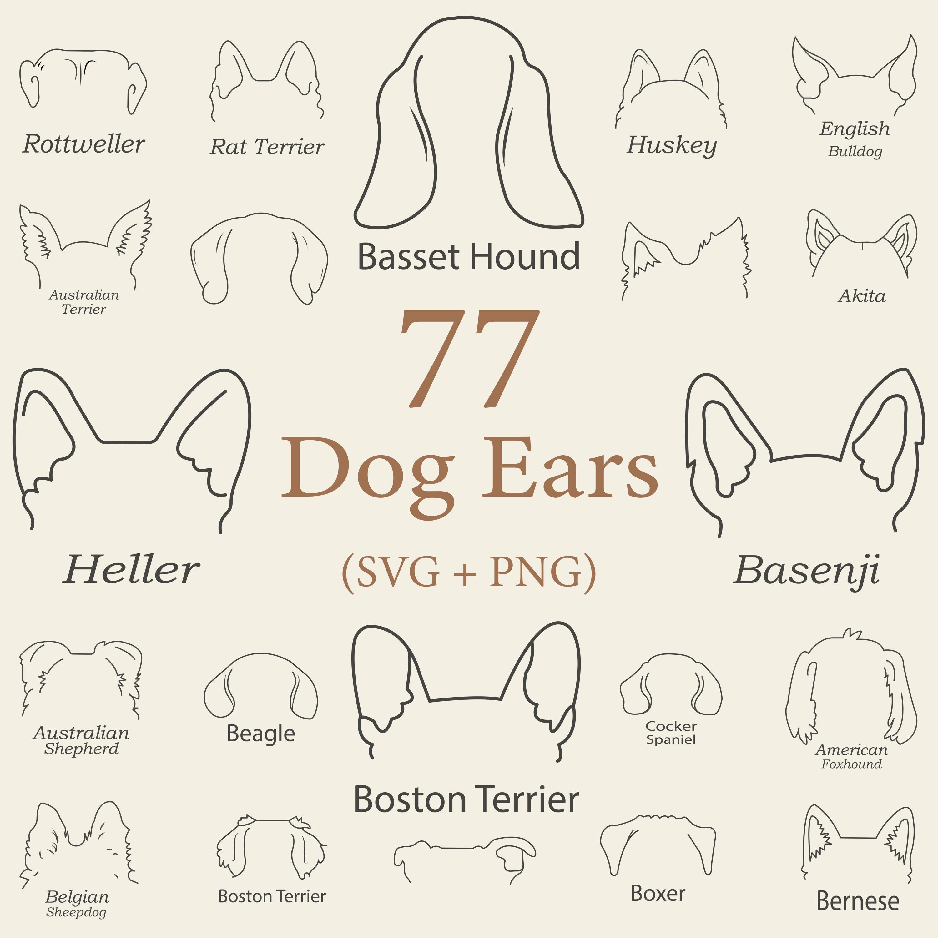 Dog Breed Ears Outline SVG Bundle: Hand Drawn Line Art (PNG)