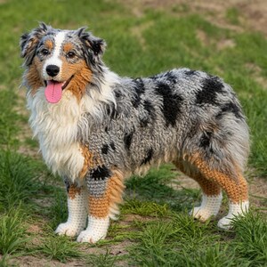 Puede incluir: Una figura de perro pastor australiano tejida a mano en ganchillo con pelaje azul mirlo, manchas negras, acentos color canela y pecho y patas blancas. El peluche tiene un rostro detallado con una lengua rosa que sobresale y textura.
