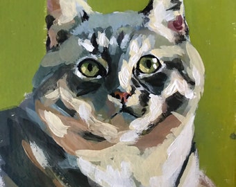 Cat portraits