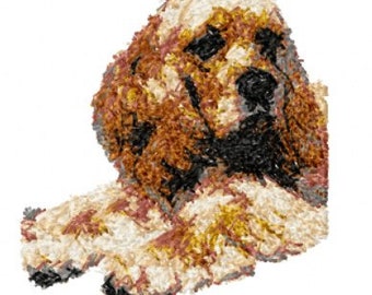 American Cocker Spaniel