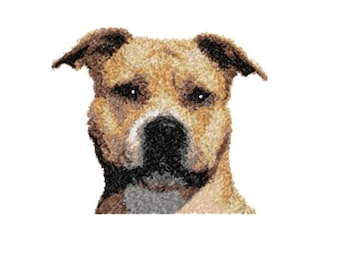 Staffordshire Terrier Photostitch