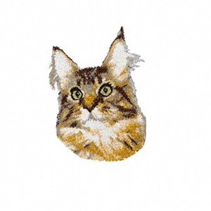 Katze (3) Photostitch