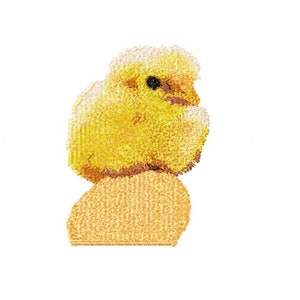 Photostitch Stickerei Design von Little Chick sitzen auf einem Ei
