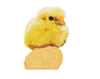 Photostitch Embroidery Design of Little Chick Sitting on an Egg