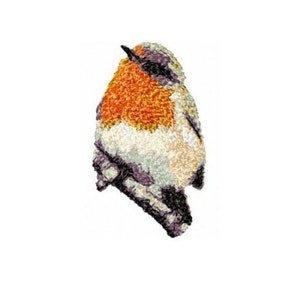 Robin (Redbreast) Photostitch