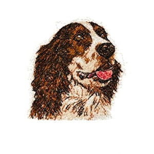 Springer Spaniel Photostitch