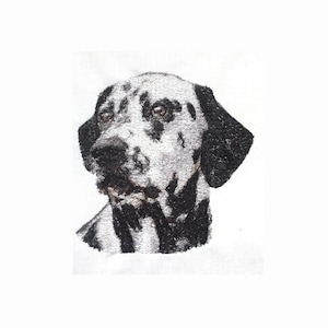 Dalmatian Photo Stitch Embroidery Design