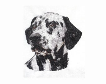 Motif de broderie photo dalmate