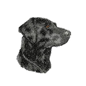 Schwarzer Labrador Fotostich