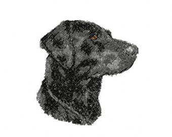 Black Labrador Photostitch
