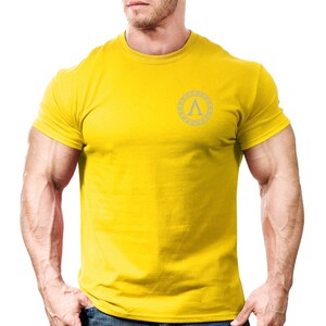 May include: A yellow t-shirt with a silver Greek letter A inside a circle with a Greek key design.
