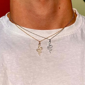 Cadena de serpiente, cadena colgante de serpiente, collar con colgante de serpiente, cadena de tendencia, serpiente, cadena con colgante genial, unisex