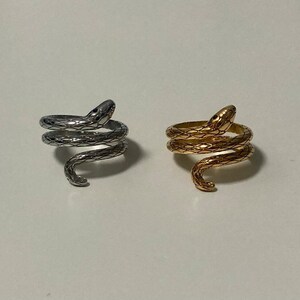 Op de afbeelding: Twee slangenringen, een zilveren en een gouden, met een opgerold slangendesign.
