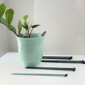 May include: A light green ceramic plant pot with a ZZ plant, and several knitting needles in shades of blue and gray. The needles are arranged on a white surface.
