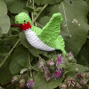 Crocheted HummingbirdPDFPATTERN image 2