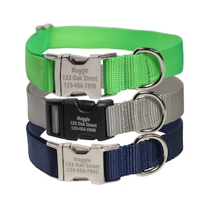 Personalized Dog Collar with Engraved Buckle | Nylon Webbing Dog Collar with Pet ID | Personalized Collar | Laser Engraved Collar