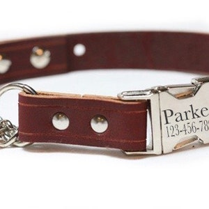 Leather Dog Collar, Engraved Dog Collar - Buckle Chain Martingale