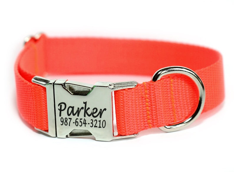 bright orange dog collar