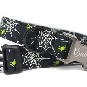 May include: Black and white spiderweb patterned dog collar with a black buckle and a silver name tag that says "Bailey".
