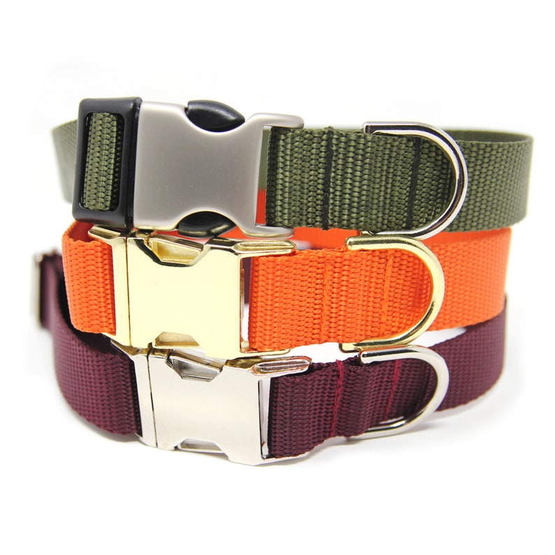 Personalized Dog Collar Nylon Webbing Dog Collar Engraved Buckle Dog Collar Plain Jane Nylon Collar image 3