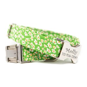 Flower Dog Collar | Dog Collar with name | Green Floral Collar | Personalized Dog Collar | Dog Collar for Girl | Big Dog Collar |Green Daisy