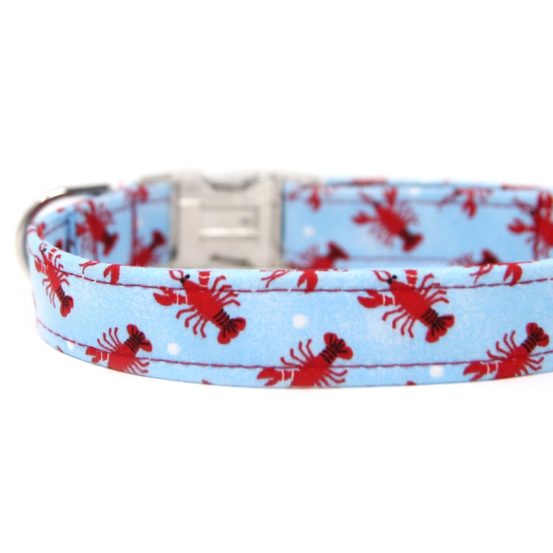 Beach Dog Collar Personalized Lobster Collar Engraved Dog Etsy