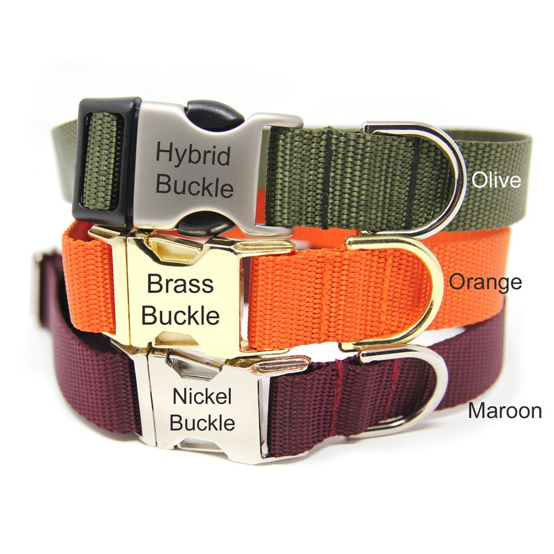 Personalized Dog Collar Nylon Webbing Dog Collar Engraved Buckle Dog Collar Plain Jane Nylon Collar image 2