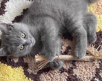 22cm Cat Toy Stick