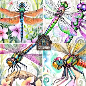 Dragonfly PNG Image Files for 4” Coasters, 300 dpi, for Transfers, Decoupage, Collage, Sublimation