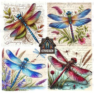 Dragonflies No2 PNG Image Files for 4” Coasters, 300 dpi, for Transfers, Decoupage, Collage, Sublimation, Dragonfly