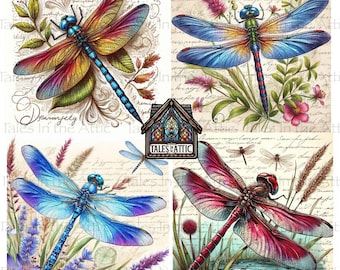 Libellen No2 PNG-afbeeldingsbestanden voor 4" onderzetters, 300 dpi, voor transfers, decoupage, collage, sublimatie, libel