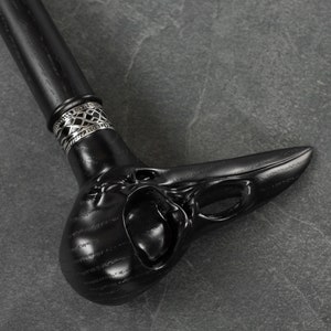 May include: A black walking stick with a detailed carved bird head handle and a silver band.