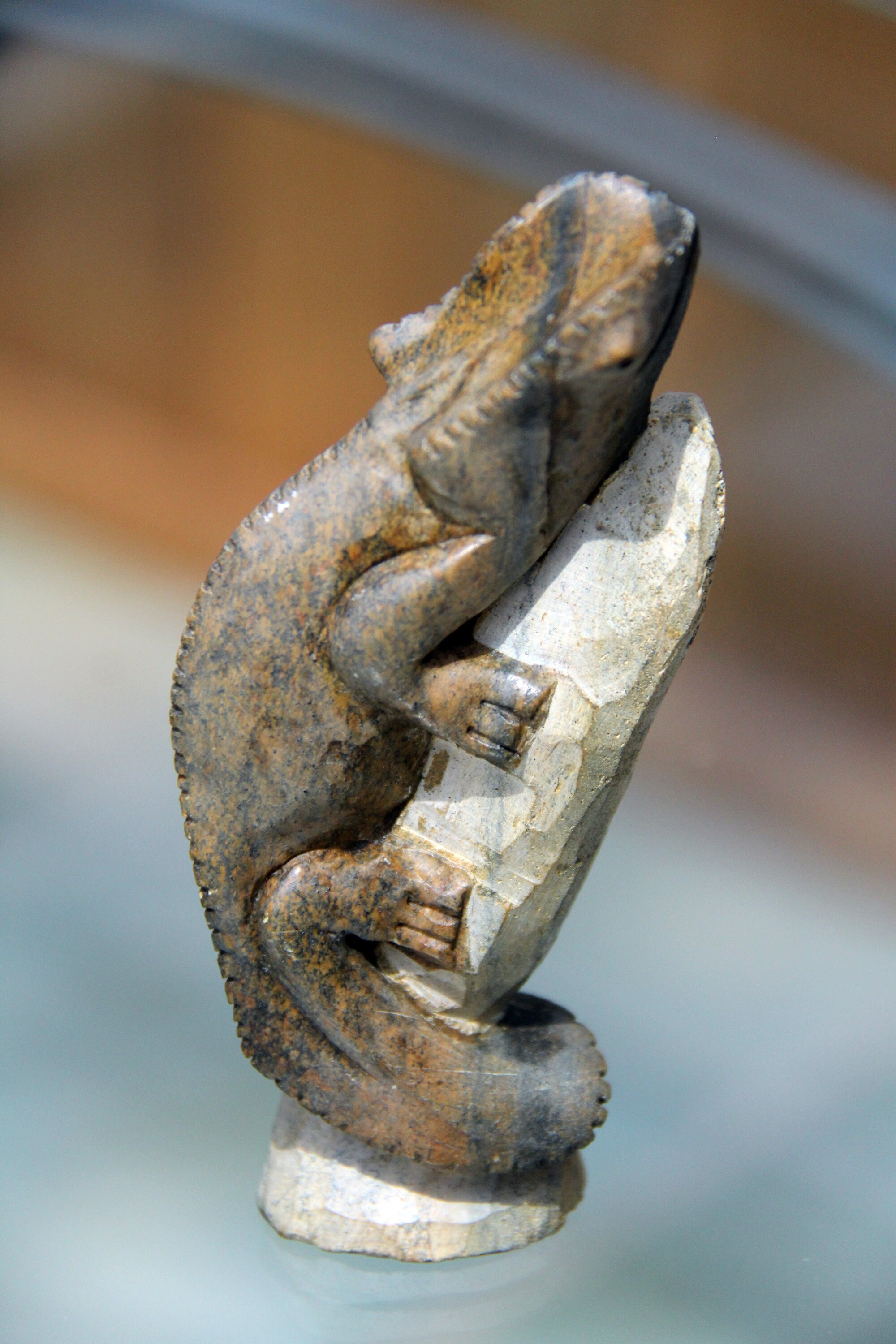 Charming Chameleon Zimbabwe Sculpture Soapstone Carving From Etsy