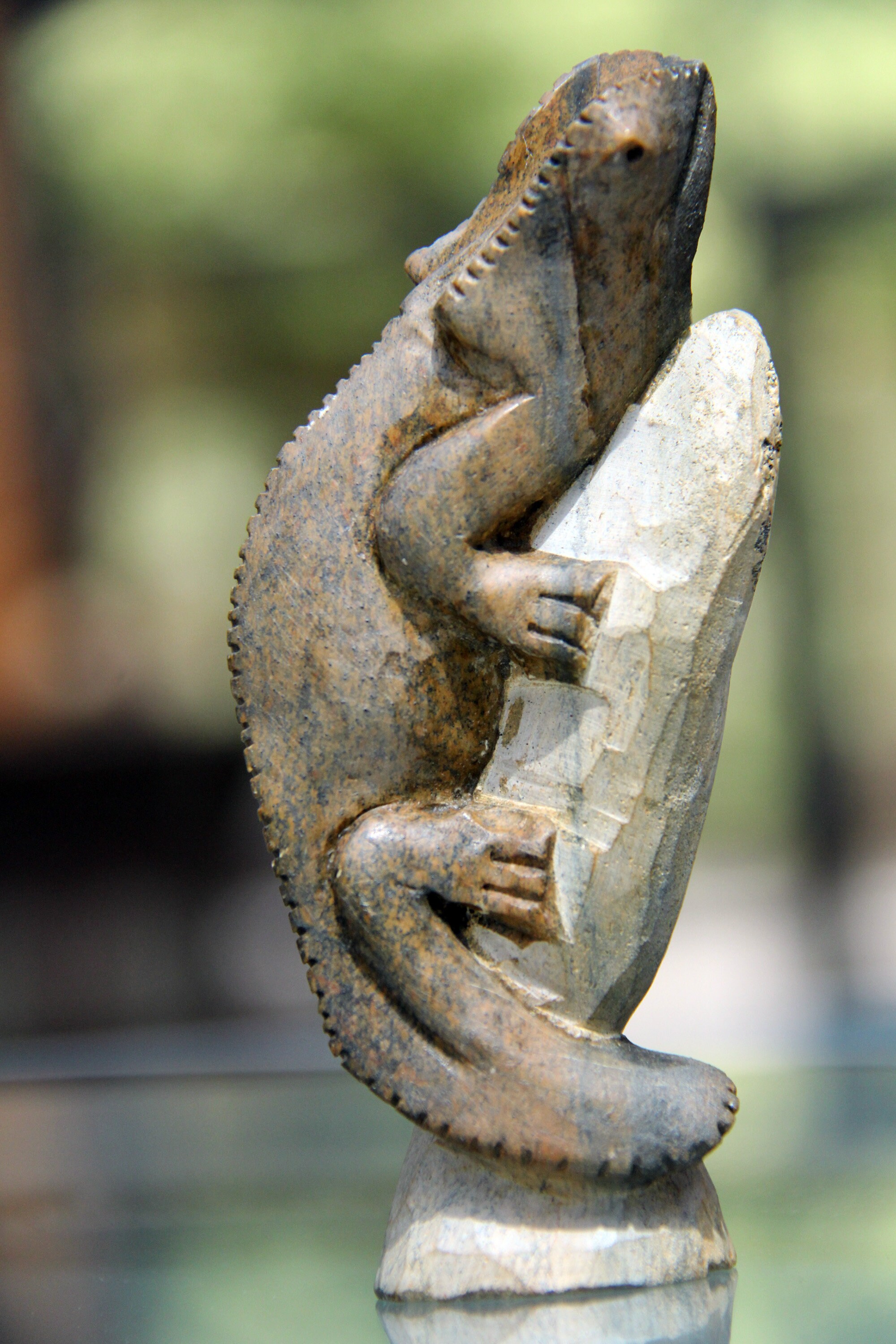 Charming Chameleon Zimbabwe Sculpture Soapstone Carving From Etsy