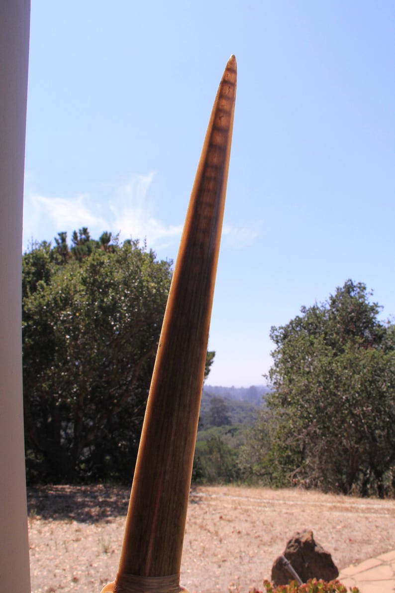 Sword With Swordfish Bill Blade, Fossil Shark Teeth. Stone Handle