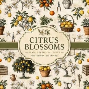 Op de afbeelding: Een naadloos digitaal papierpatroon met botanische illustraties van citrusbomen, citroenen, sinaasappels, bloesems, rieten manden, houten kisten en tuingereedschap op een crèmekleurige achtergrond met de tekst CITRUS BLOSSOMS.