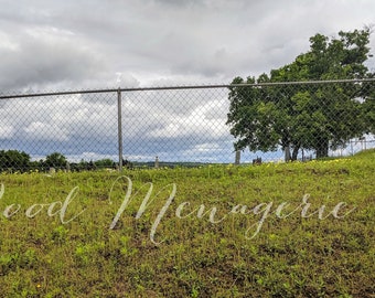 Prairie Cemetery Digital Download Landscape Photography